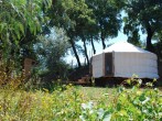 Woodland Yurt
